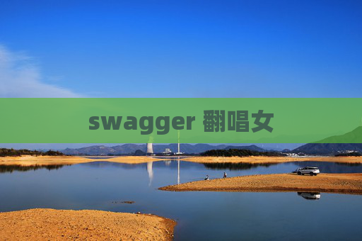 swagger 翻唱女